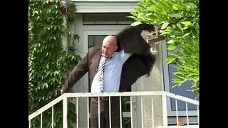 ӱзгар-влак паникыш