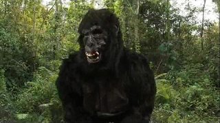 Хаан Дон&amp;#039;s 40oz Харайх!