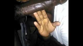 ���ွန်းခေါင်းပိတ်အိပ်ရာ